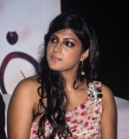 Nangellam Edakoodam Audio Launch