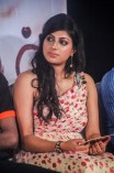 Nangellam Edakoodam Audio Launch
