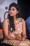 Nangellam Edakoodam Audio Launch