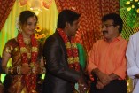 NS Udhayakumar Wedding Reception