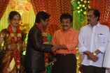 NS Udhayakumar Wedding Reception