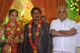 NS Udhayakumar Wedding Reception