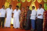 NS Udhayakumar Wedding Reception