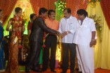 NS Udhayakumar Wedding Reception