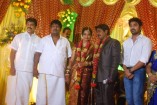 NS Udhayakumar Wedding Reception
