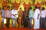 NS Udhayakumar Wedding Reception