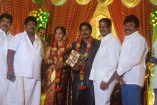 NS Udhayakumar Wedding Reception