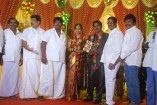 NS Udhayakumar Wedding Reception