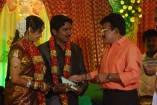 NS Udhayakumar Wedding Reception