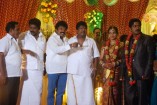 NS Udhayakumar Wedding Reception