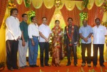 NS Udhayakumar Wedding Reception