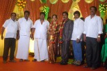 NS Udhayakumar Wedding Reception