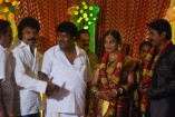 NS Udhayakumar Wedding Reception