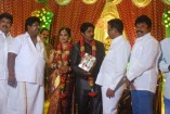 NS Udhayakumar Wedding Reception