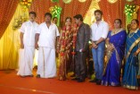 NS Udhayakumar Wedding Reception