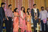 Paalam silks Jayashree's daughter's wedding reception