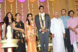 Paalam silks Jayashree's daughter's wedding reception