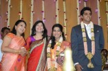 Paalam silks Jayashree's daughter's wedding reception