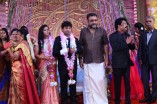 Pandiarajan's Son Wedding Reception Photos
