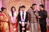 Pandiarajan's Son Wedding Reception Photos