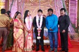 Pandiarajan's Son Wedding Reception Photos