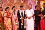 Pandiarajan's Son Wedding Reception Photos