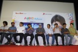 Panivizhum Nilavu Audio Launch
