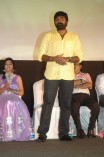 Pannaiyaarum Padminiyum audio launch