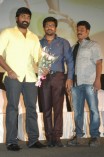 Pannaiyaarum Padminiyum audio launch