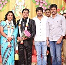 Producer Swaminathan's Son Wedding Reception