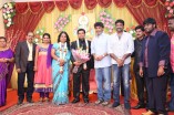 Producer Swaminathan's Son Wedding Reception