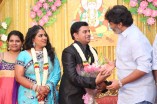 Producer Swaminathan's Son Wedding Reception