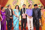 Producer Swaminathan's Son Wedding Reception