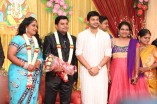 Producer Swaminathan's Son Wedding Reception