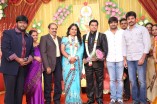 Producer Swaminathan's Son Wedding Reception