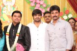 Producer Swaminathan's Son Wedding Reception