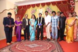 Producer Swaminathan's Son Wedding Reception