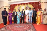 Producer Swaminathan's Son Wedding Reception