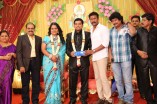 Producer Swaminathan's Son Wedding Reception