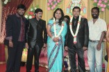 Producer Swaminathan's Son Wedding Reception
