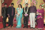 Producer Swaminathan's Son Wedding Reception
