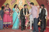 Producer Swaminathan's Son Wedding Reception