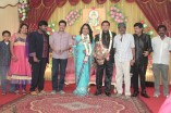 Producer Swaminathan's Son Wedding Reception