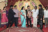 Producer Swaminathan's Son Wedding Reception