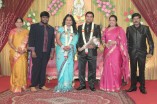 Producer Swaminathan's Son Wedding Reception