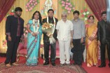 Producer Swaminathan's Son Wedding Reception