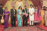 Producer Swaminathan's Son Wedding Reception