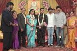 Producer Swaminathan's Son Wedding Reception