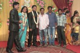 Producer Swaminathan's Son Wedding Reception