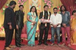 Producer Swaminathan's Son Wedding Reception